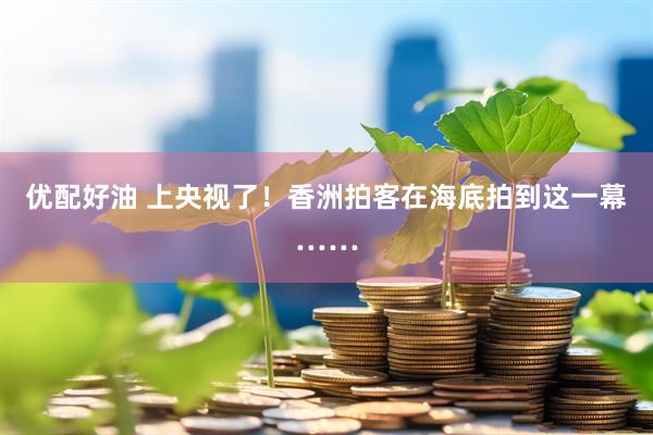 优配好油 上央视了！香洲拍客在海底拍到这一幕……